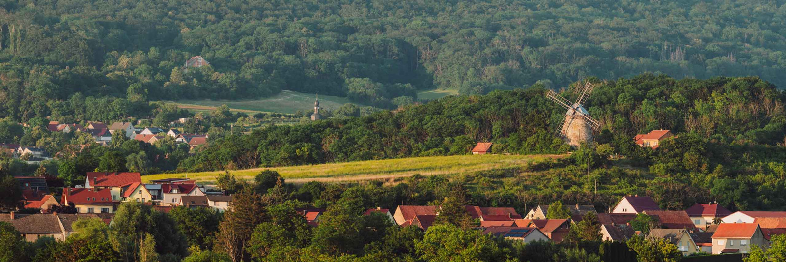 Windmühle Altenbeichlingen bei Sömmerda im Sommer als Panoramafoto