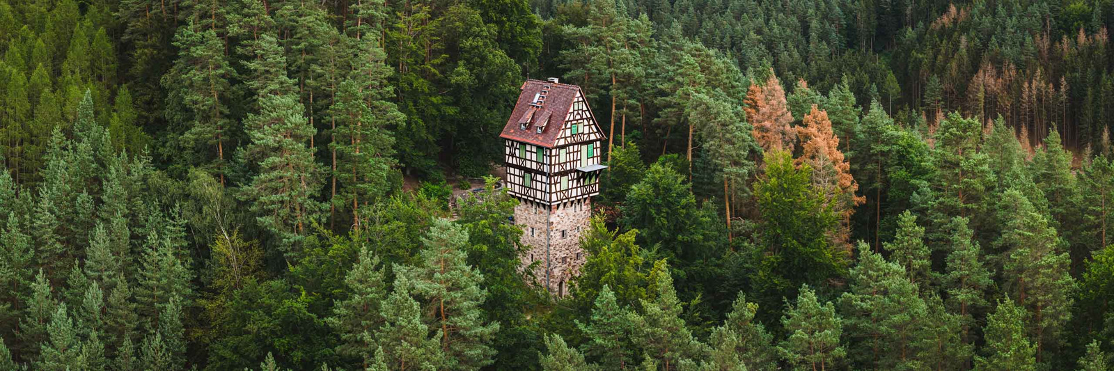 Panorama Bild vom Herzogstuhl in der Jagdanlage Rieseneck bei Kahla als Wandbild