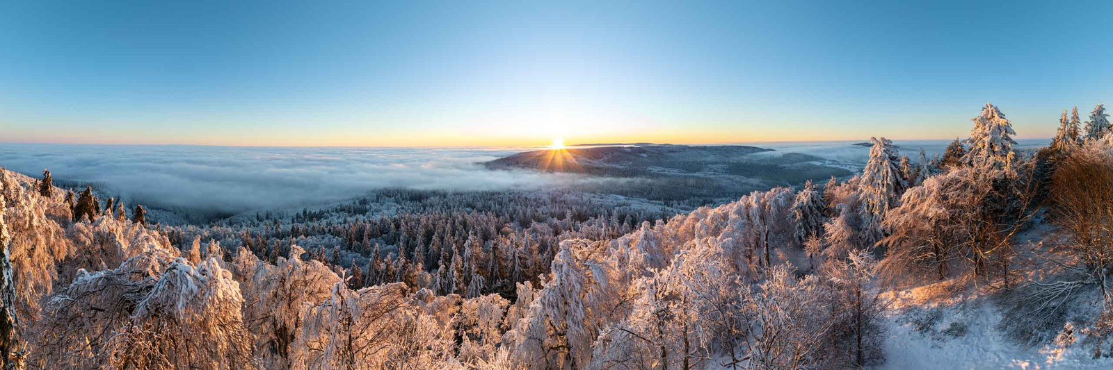 Panorama Foto aus dem verschneiten Thüringer Wald zum Sonnenaufgang mit Ausblick über den Nebel und den Schnee bedeckten Bäumen