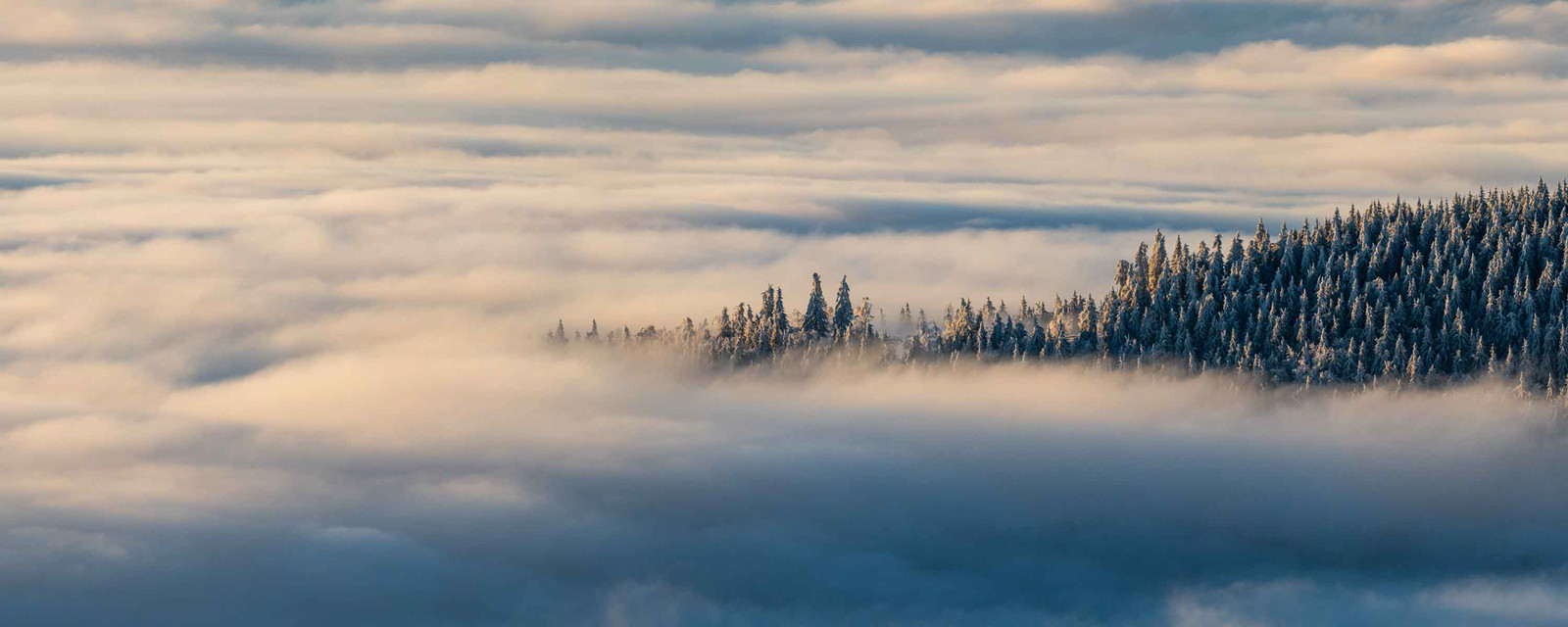 Panorama Foto vom verschneiten Thüringer Wald und Inselsberg mit viel Nebel bei Sonnenaufgang