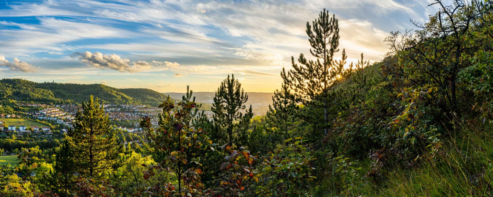 Panoramabild mit Blick vom Jenzig auf das Stadtzentrum Jena mit Landschaft