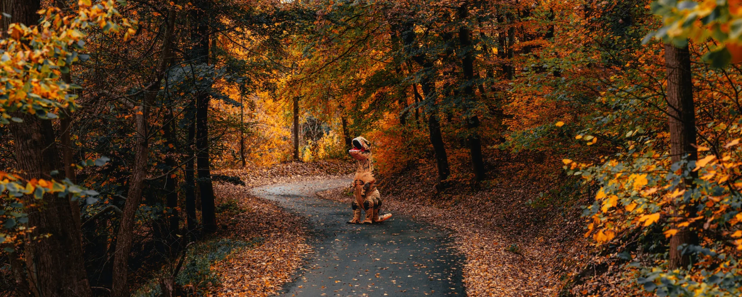 Panorama Bild vom Forst Jena bei Sonnenuntergang mit leuchtenden Herbstfarben und Dinosaurier